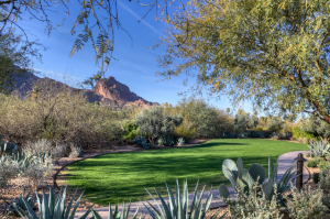 Screen Shot 2015-09-18 at 11.35.41 PM